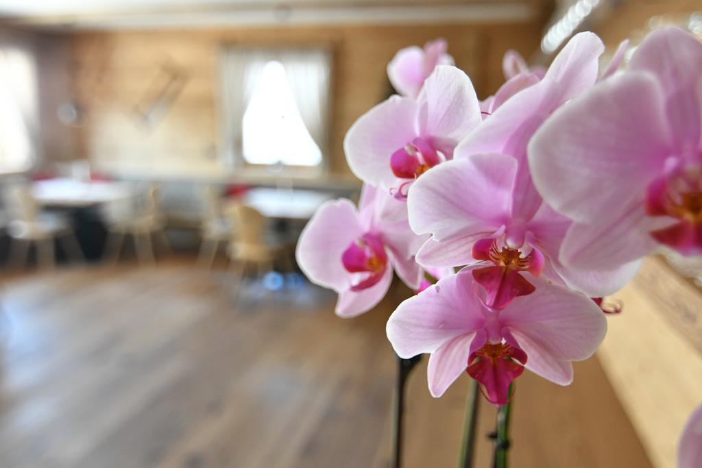 Hotel Kristall マランツァ エクステリア 写真